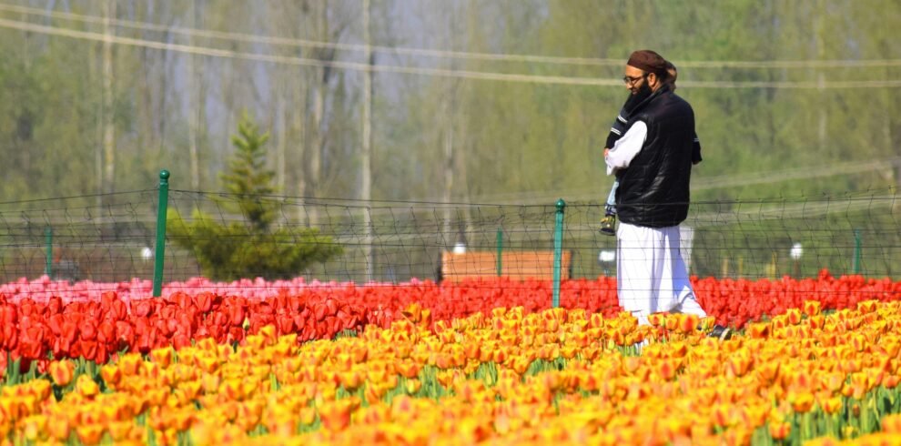 Man holding child in a colorful tulip field in Srinagar, surrounded by vivid red and yellow blooms.